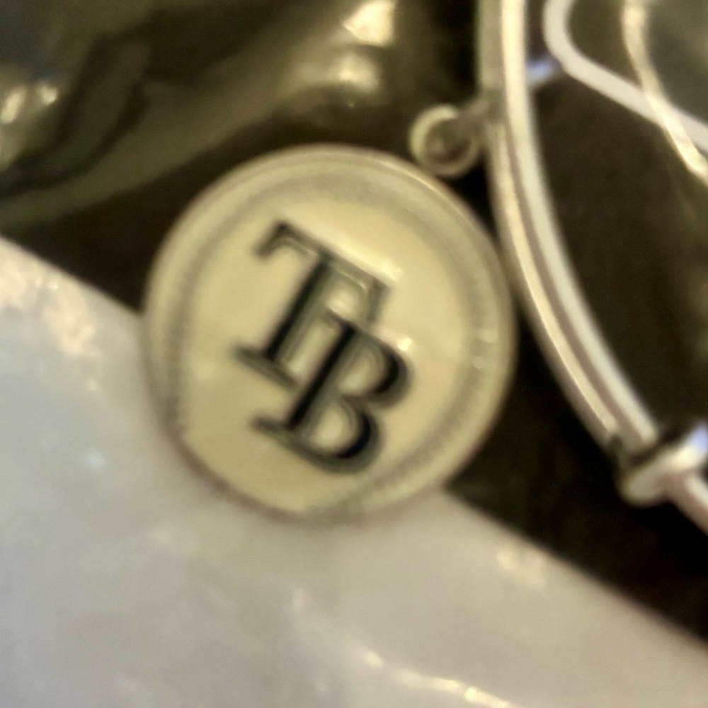 Alex and Ani Silver Tampa Bay Rays Baseball Charm Bracelet - Picture 2 of 9